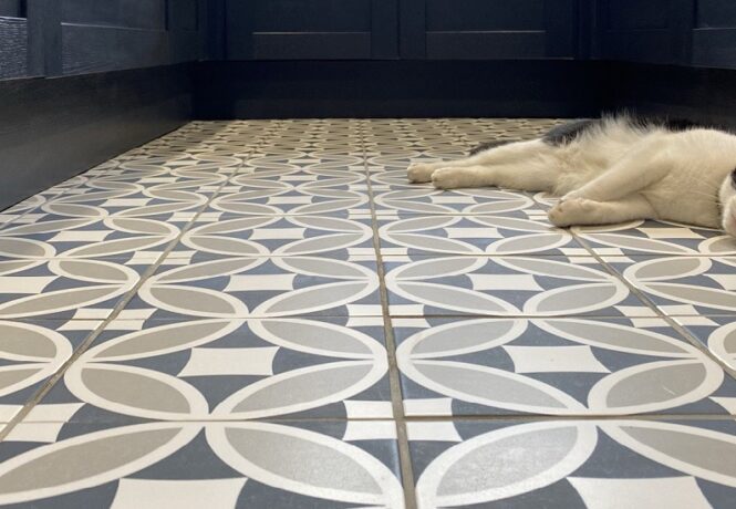 Tiles for Small Kitchens - Patterned blue tiles and a blue kitchen. Cat on the floor.