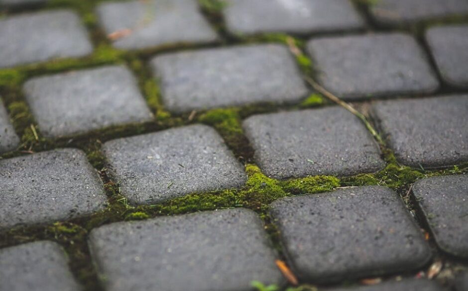 How to Clean Outdoor Tiles - moss between stones
