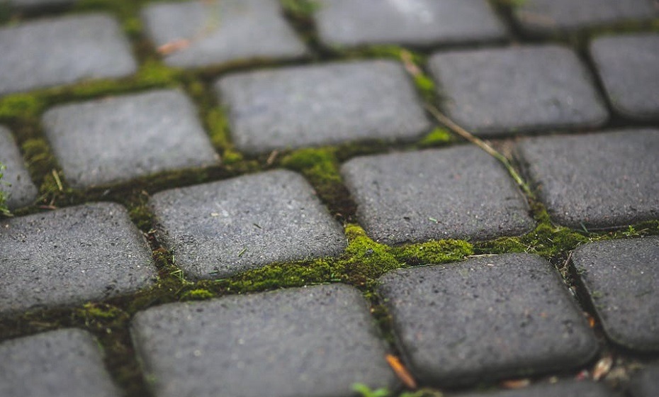 How to Clean Outdoor Tiles - moss between stones